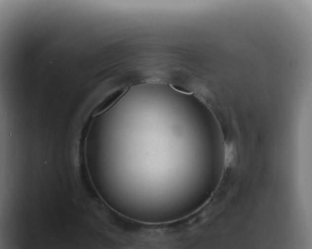 X0000089750291200706281630