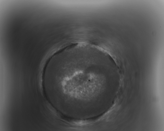 X0000089750293200706281630