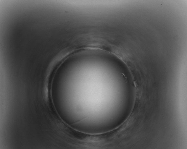 X0000089750294200706281630