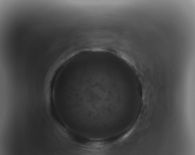 X0000089750295200706281630