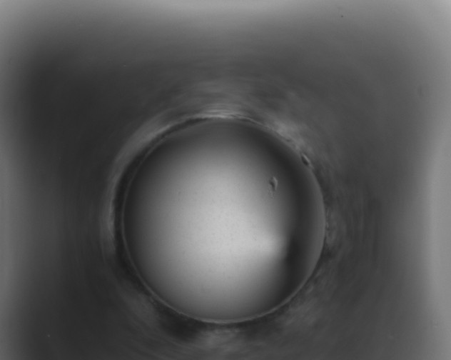 X0000089750296200706281630