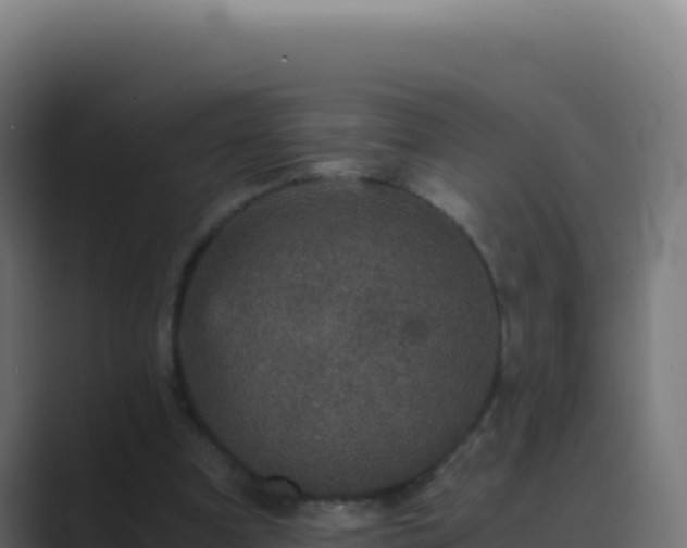 X0000089750297200706281630