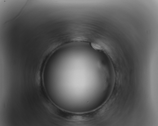 X0000089750298200706281630