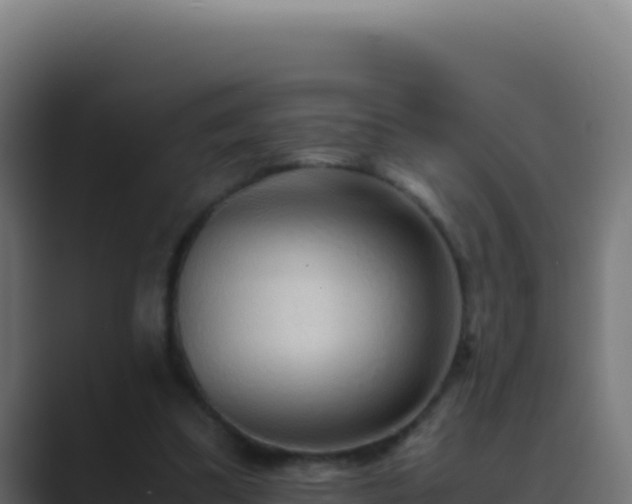 X0000089750299200706281630