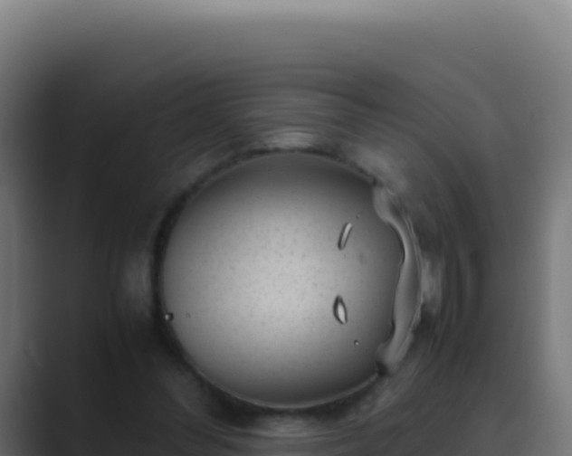 X0000089750300200706281630