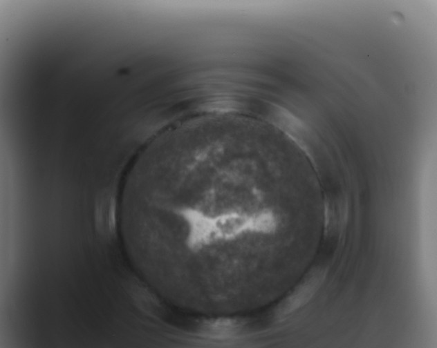 X0000089750301200706281630