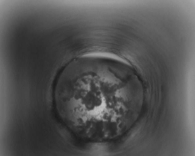 X0000089750303200706281630