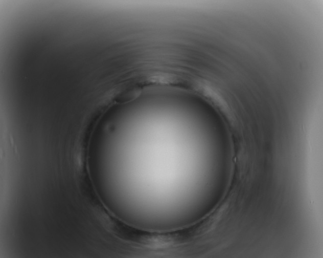 X0000089750305200706281630