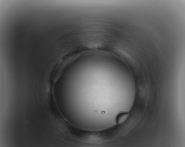 X0000089750308200706281630