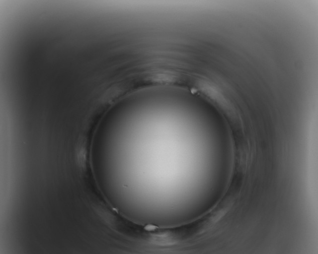 X0000089750309200706281630