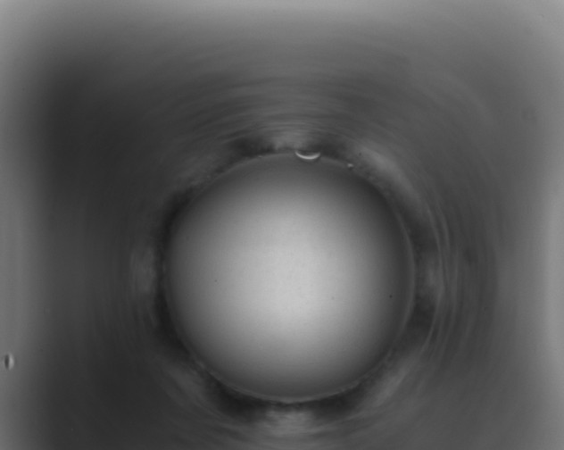 X0000089750311200706281630