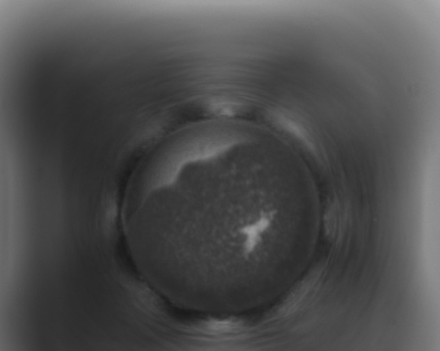 X0000089750314200706281630