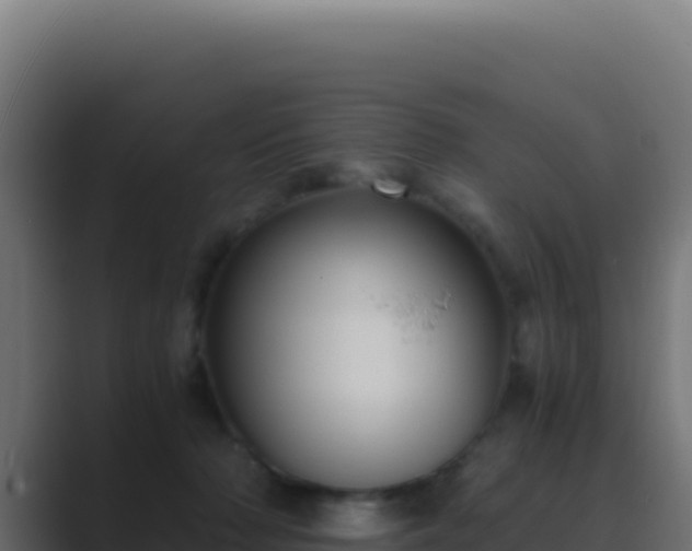 X0000089750318200706281630