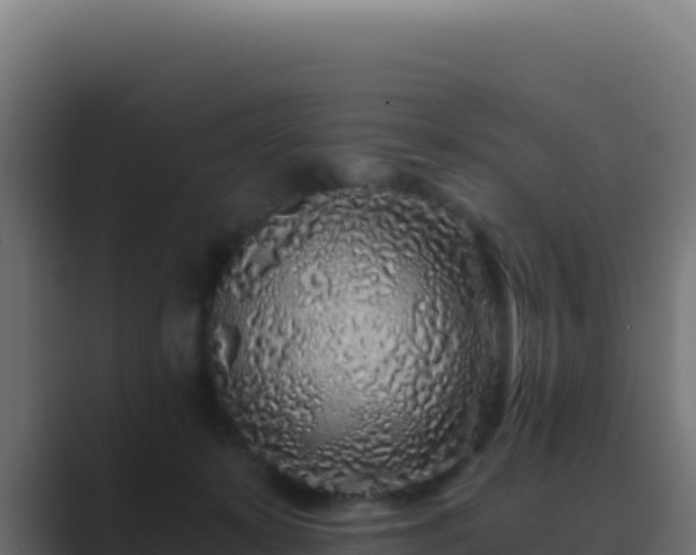 X0000089750319200706281630