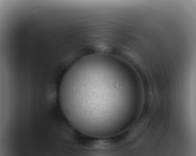 X0000089750320200706281630