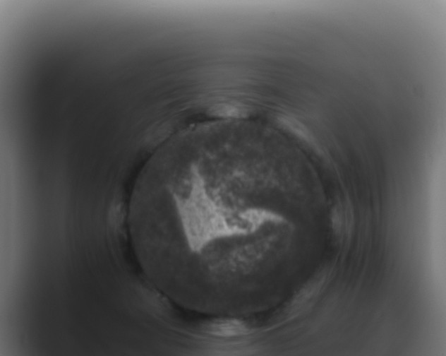 X0000089750322200706281630