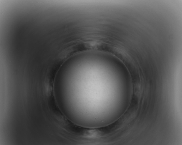 X0000089750324200706281630