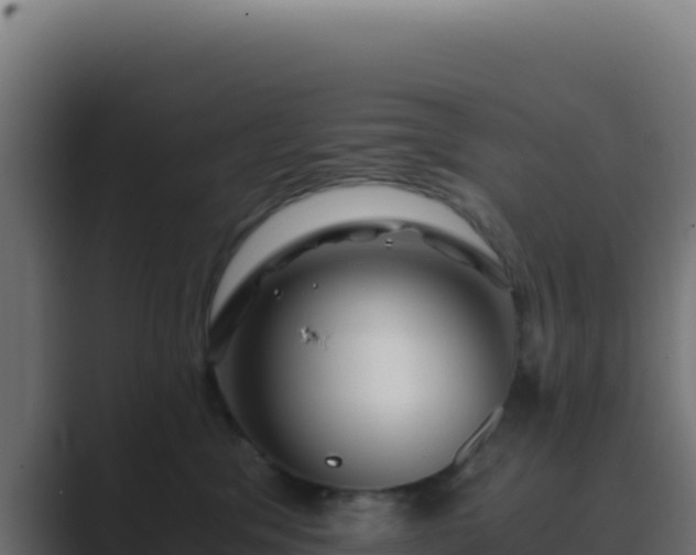 X0000089750329200706281630