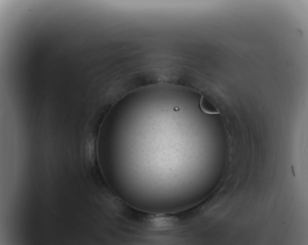 X0000089750336200706281630