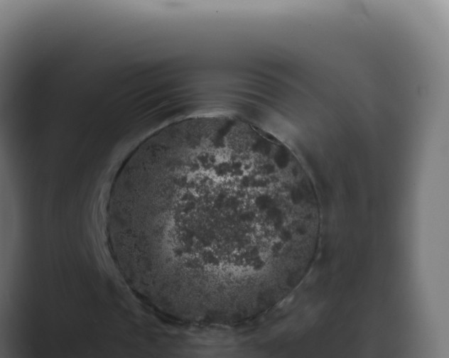 X0000089750337200706281629