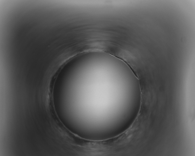 X0000089750338200706281629