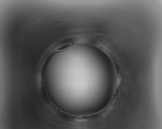 X0000089750339200706281629