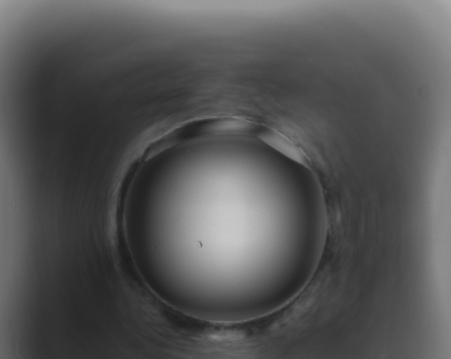 X0000089750340200706281629