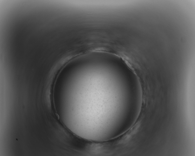 X0000089750341200706281629