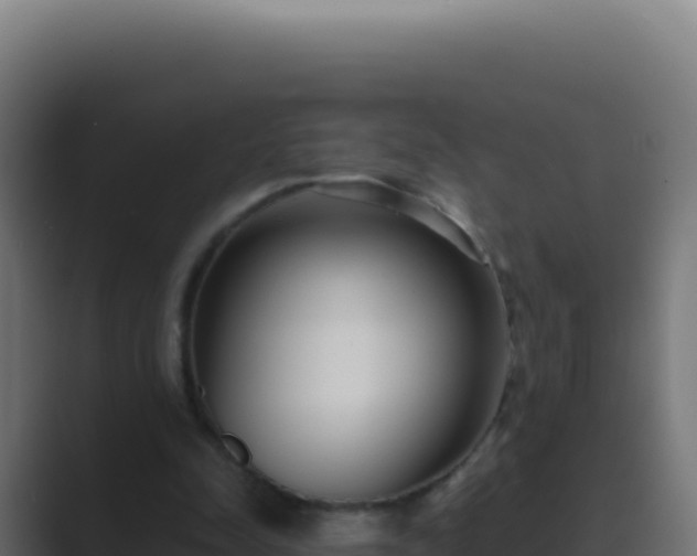 X0000089750342200706281629