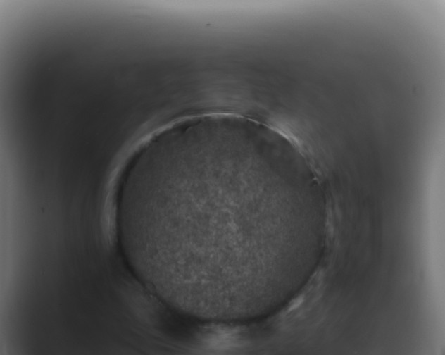 X0000089750343200706281629