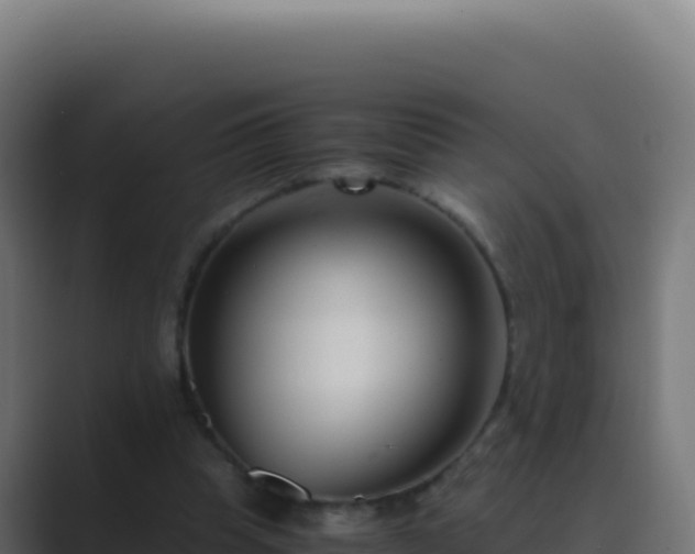 X0000089750345200706281629