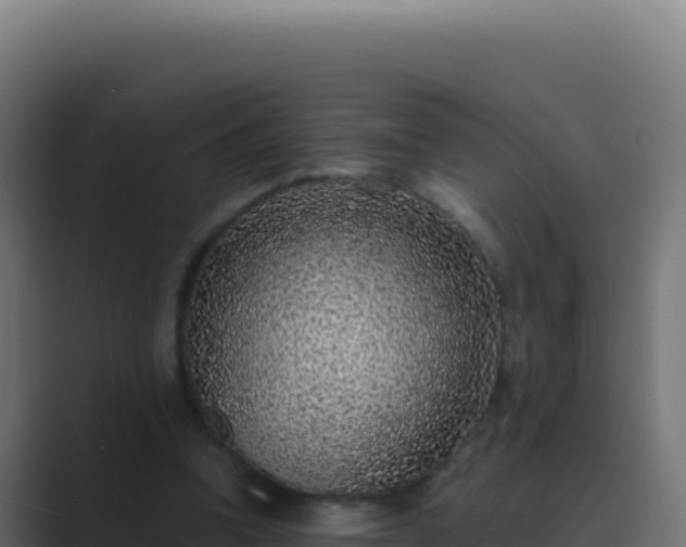 X0000089750346200706281629