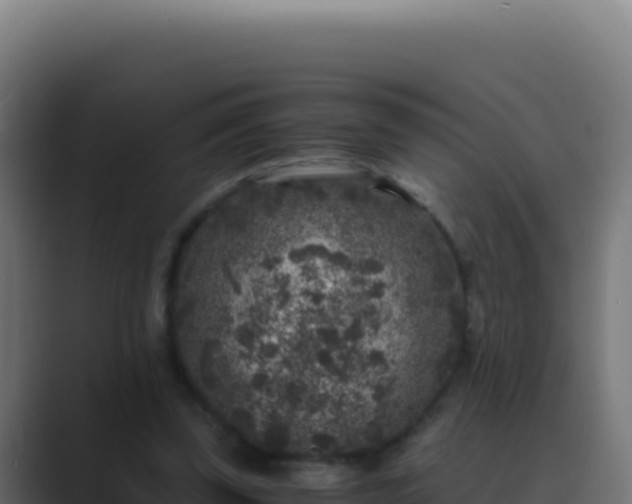 X0000089750347200706281629