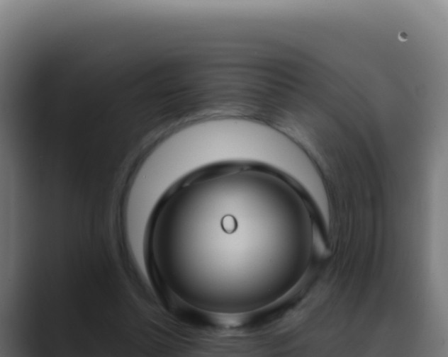 X0000089750348200706281629