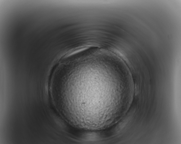 X0000089750349200706281629