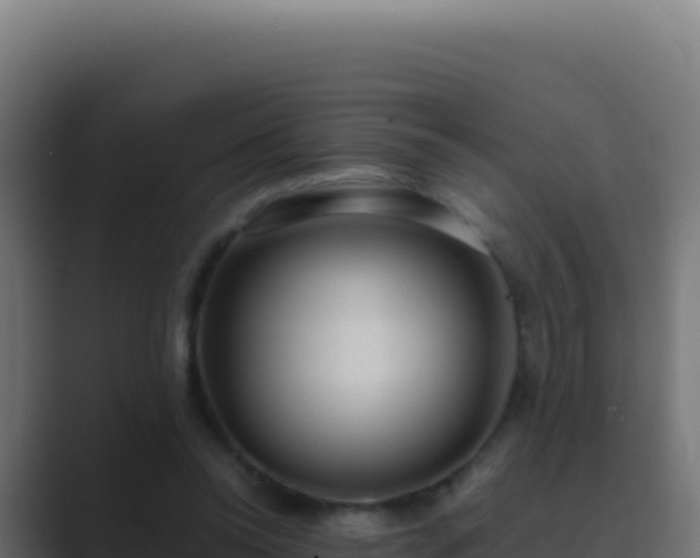 X0000089750350200706281629