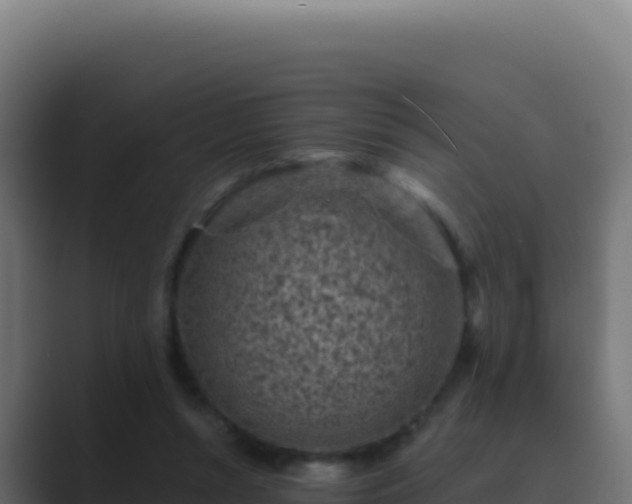 X0000089750352200706281629