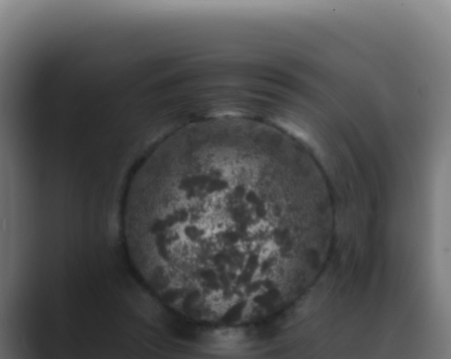 X0000089750353200706281629