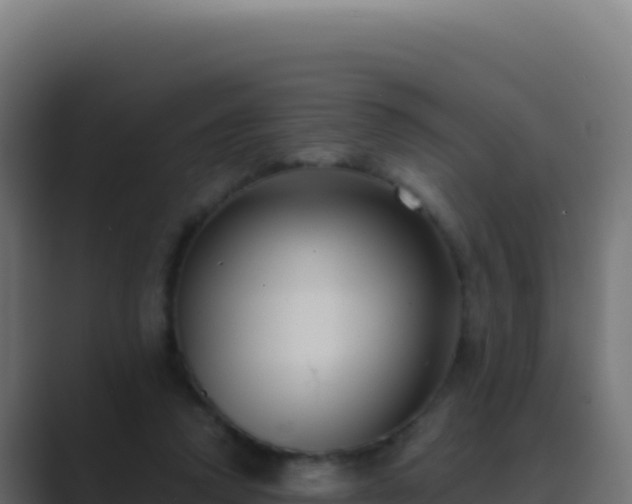 X0000089750354200706281629