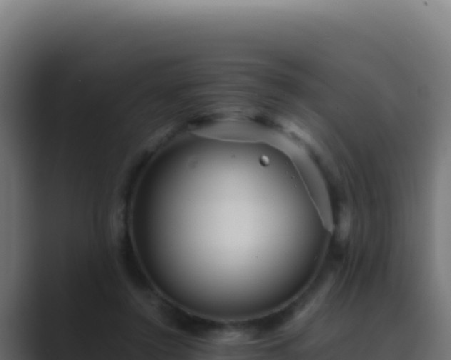 X0000089750356200706281629