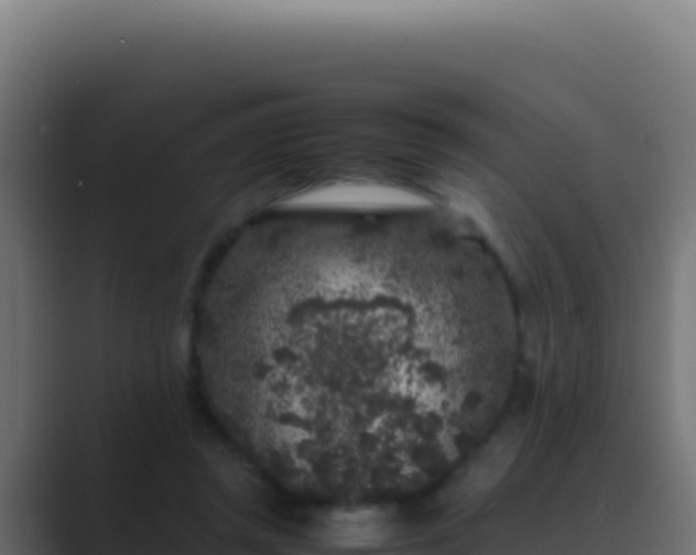 X0000089750357200706281629