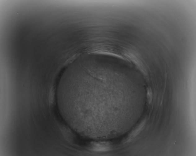 X0000089750359200706281629