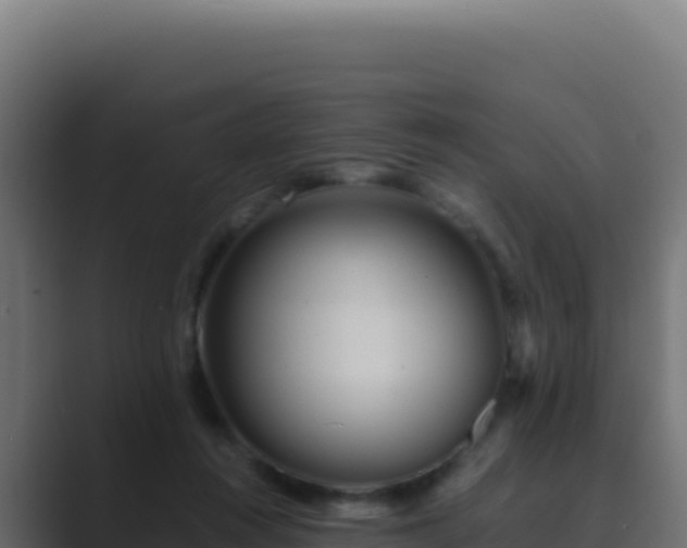 X0000089750360200706281629