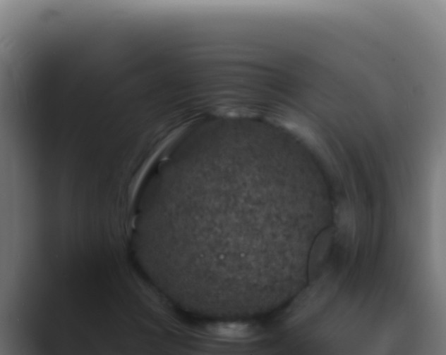 X0000089750361200706281630