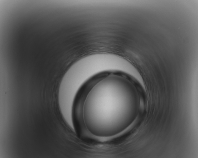 X0000089750364200706281630