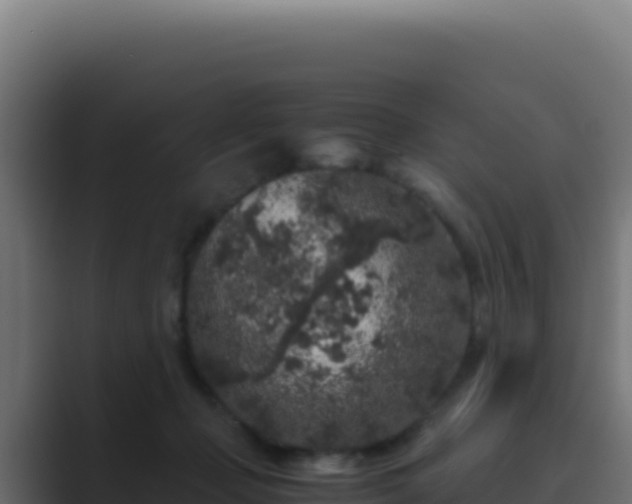 X0000089750365200706281630