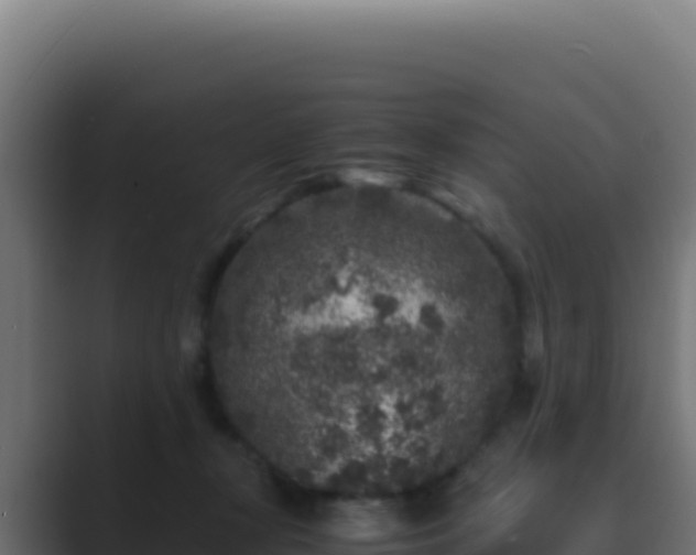 X0000089750367200706281630