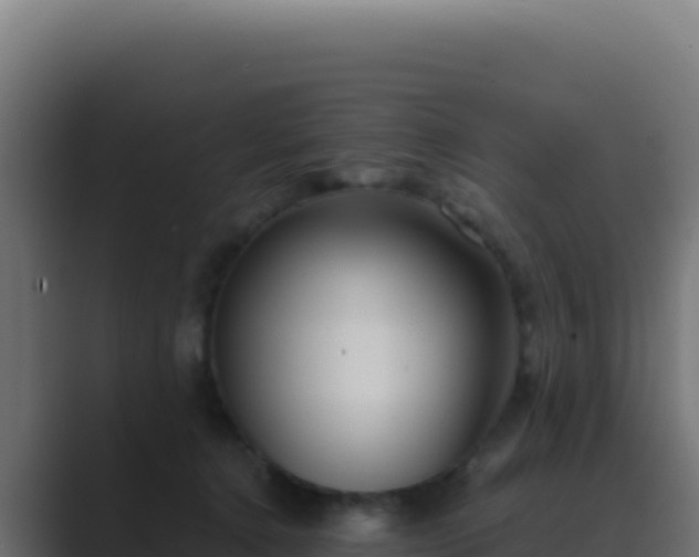 X0000089750368200706281630