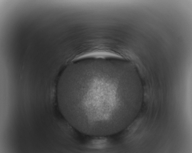 X0000089750369200706281630