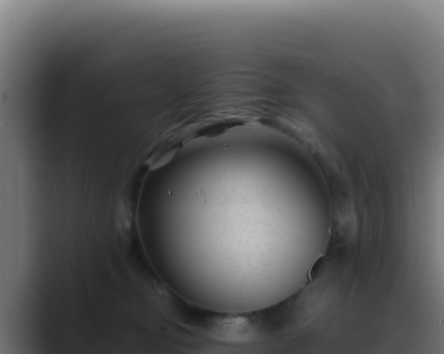 X0000089750374200706281630